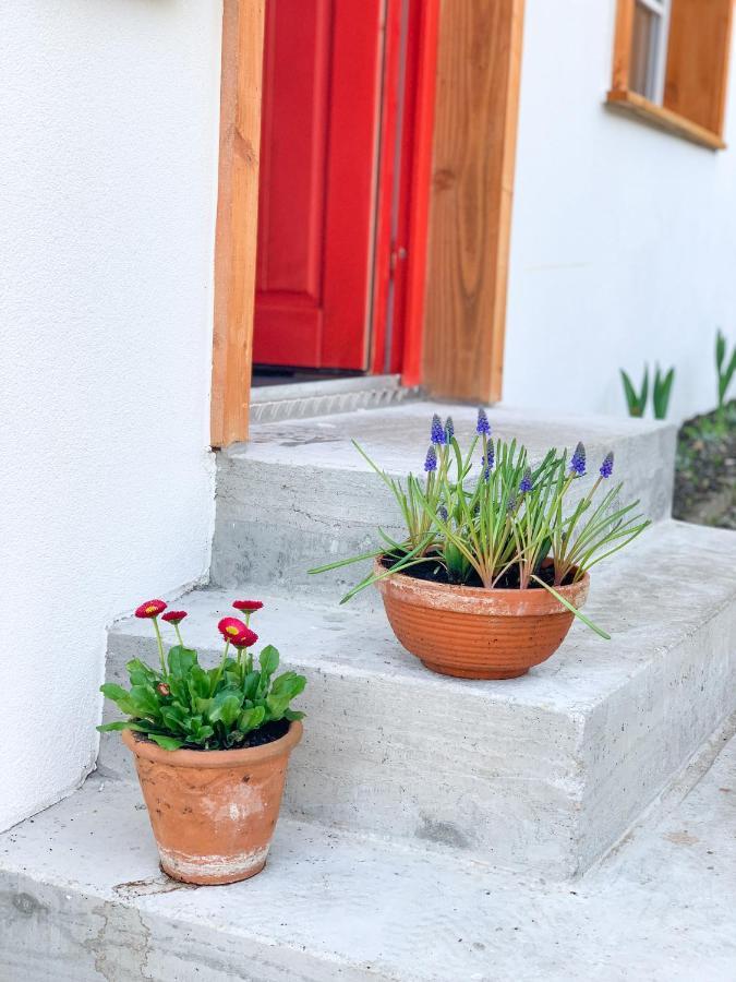 Ferienhaus Feni Neckargemünd Esterno foto